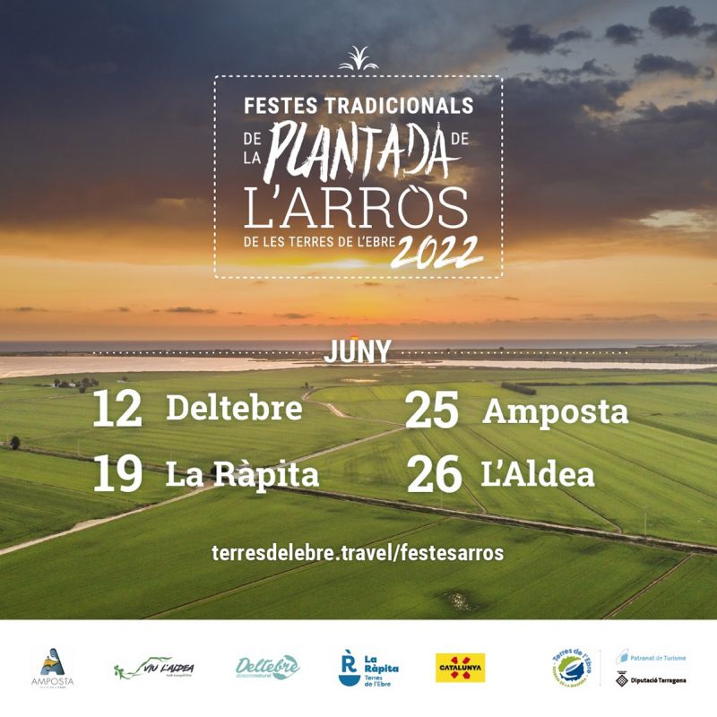 Festa de la Plantada de l�Arr�s a La R�pita
