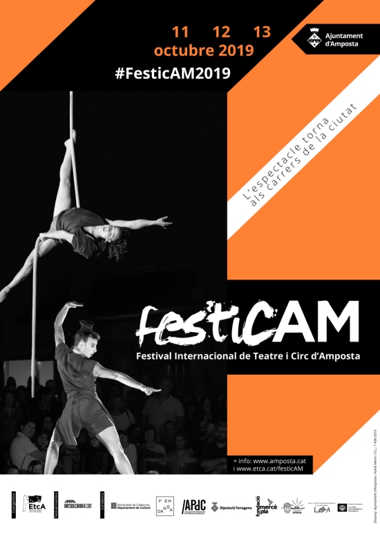 VI Festicam - Festival de Teatre i Cird d�Amposta