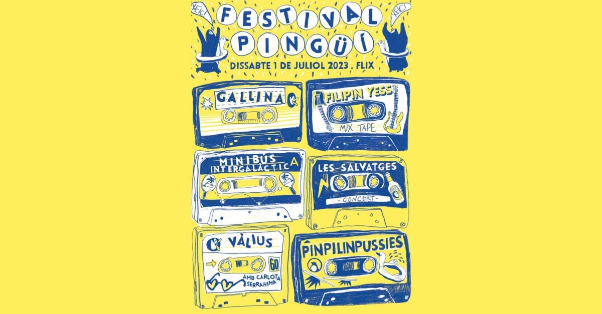 7a edici�n Festival Ping��