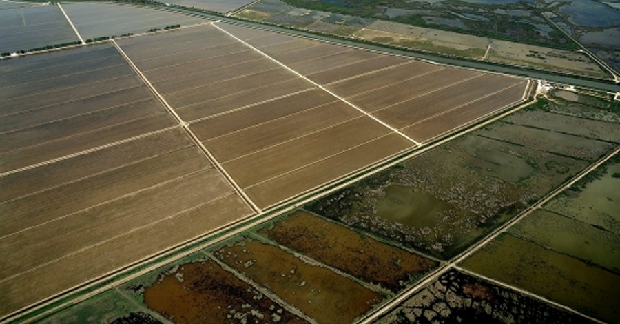 La finca del Viol, al delta de lEbre, comptar amb un observatori ornitolgic i itineraris per gaudir de les aus i del paisatge