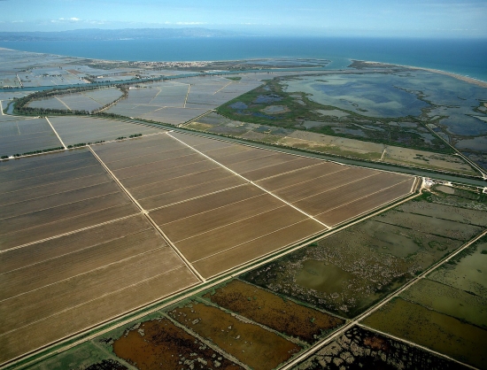 La finca del Viol�, al delta de l&rsquo;Ebre, comptar� amb un observatori ornitol�gic i itineraris per gaudir de les aus i del paisatge | EbreActiu.cat, revista digital d&rsquo;oci actiu | Terres de l&rsquo;Ebre ...