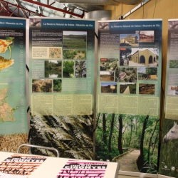 Bona acollida de la primera edici� de Fira Actiu Natura de M�ra la Nova