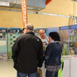 Bona acollida de la primera edici� de Fira Actiu Natura de M�ra la Nova