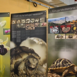 Bona acollida de la primera edici� de Fira Actiu Natura de M�ra la Nova