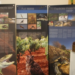 Bona acollida de la primera edici� de Fira Actiu Natura de M�ra la Nova