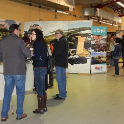 Bona acollida de la primera edici� de Fira Actiu Natura de M�ra la Nova