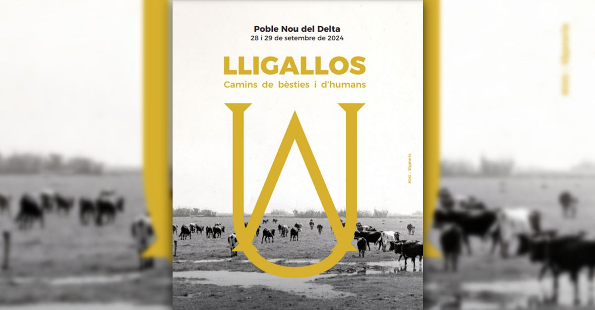 Fira Lligallos Fira Lligallos