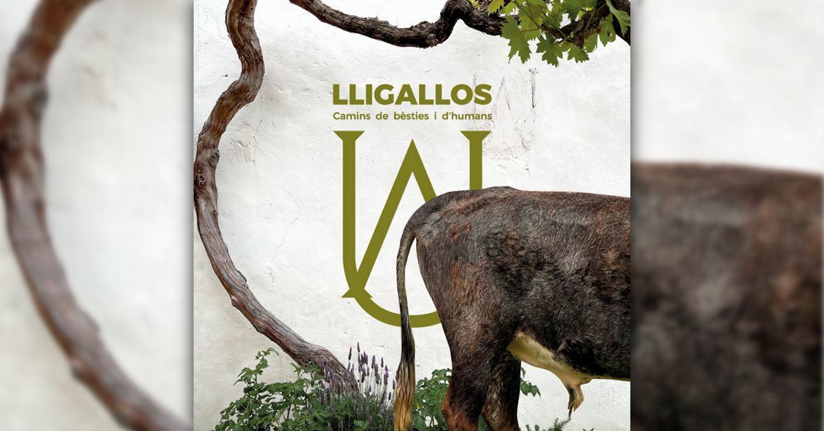 Fira Lligallos, camins de b�sties i humans