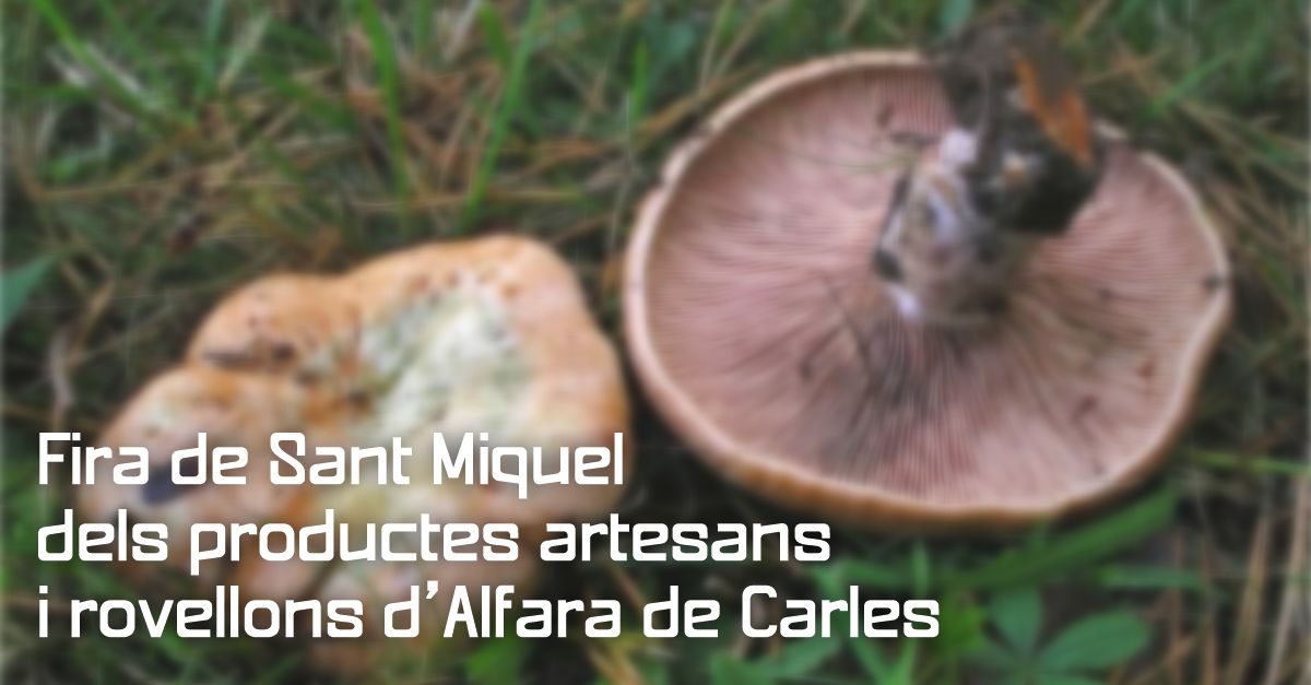 Fira de Sant Miquel dels productes artesans i rovellons dAlfara de Carles