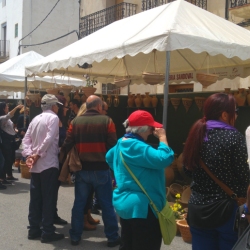 La Galera tanca amb �xit una nova edici� de la Fira de la Terrissa