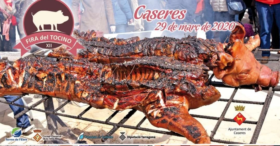 XII Fira del Tocino de Caseres **AJORNADA XII Fira del Tocino de Caseres **AJORNADA