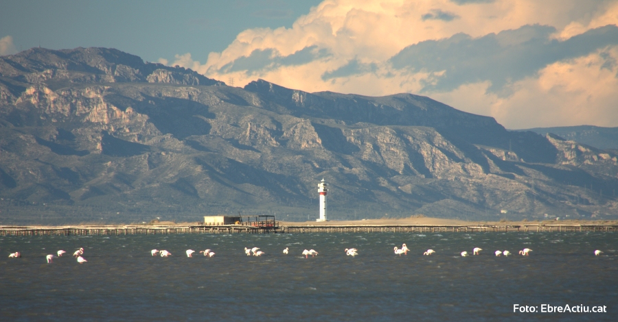 Nou reconeixement internacional a les Terres de l’Ebre com a destinació sostenible | EbreActiu.cat, revista digital d’oci actiu | Terres de l’Ebre ... Nou reconeixement internacional a les Terres de l’Ebre com a destinació sostenible | EbreActiu.cat, revista digital d’oci actiu | Terres de l’Ebre ...
