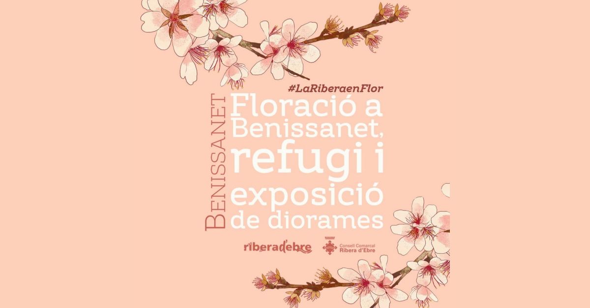 Floraci�n en Benissanet, refugio y exposici�n de dioramas