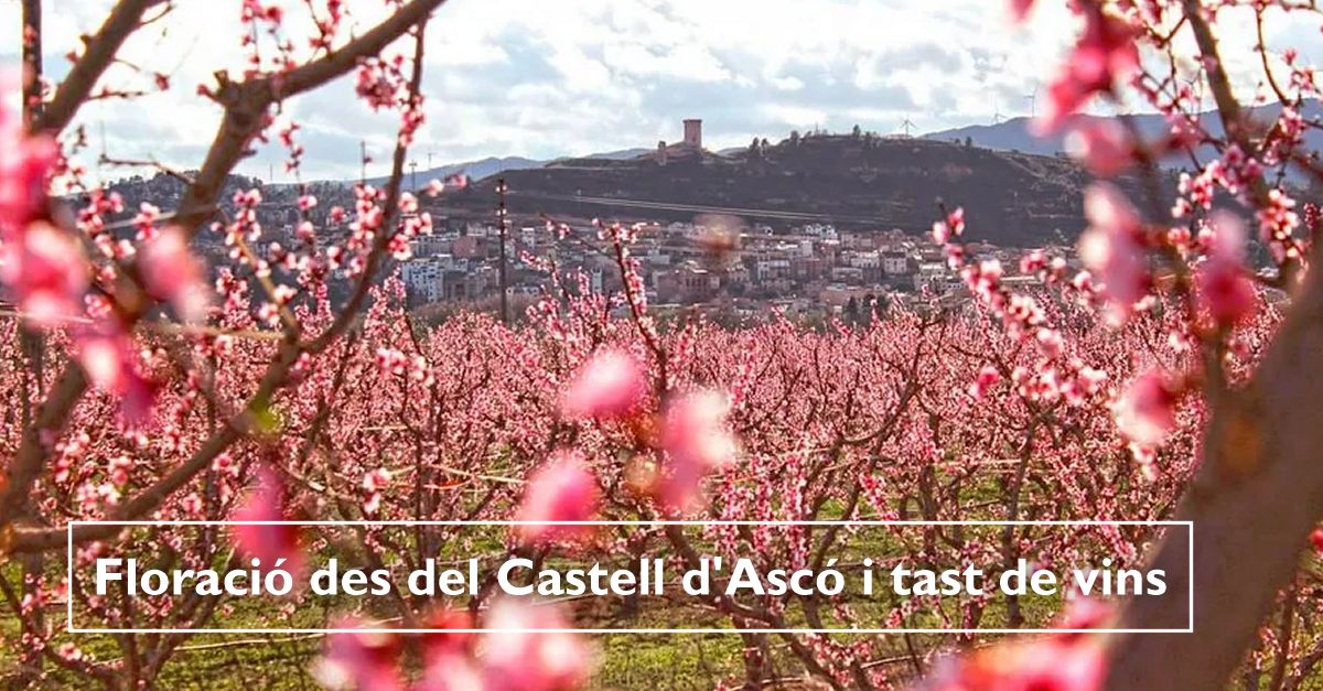 Floraci� des del Castell d�Asc� i tast de vins