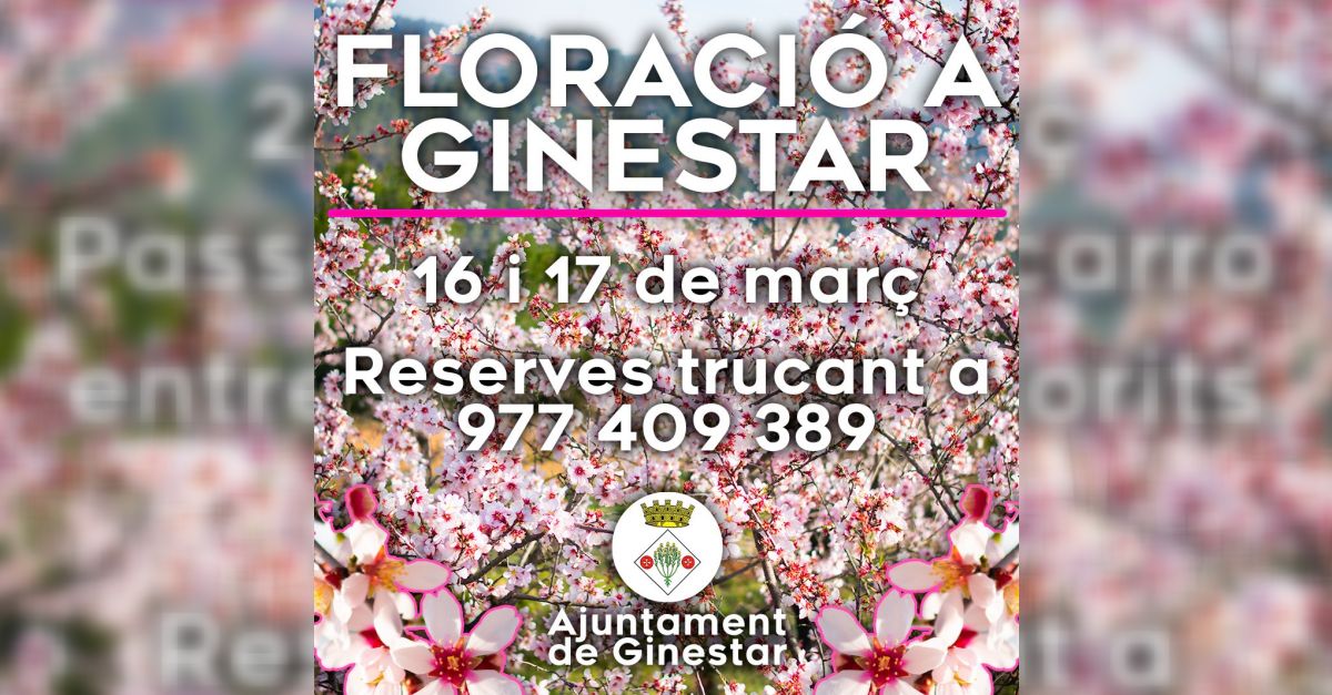 Floració a Ginestar: passejades amb carro entre els arbres florits Floració a Ginestar: passejades amb carro entre els arbres florits