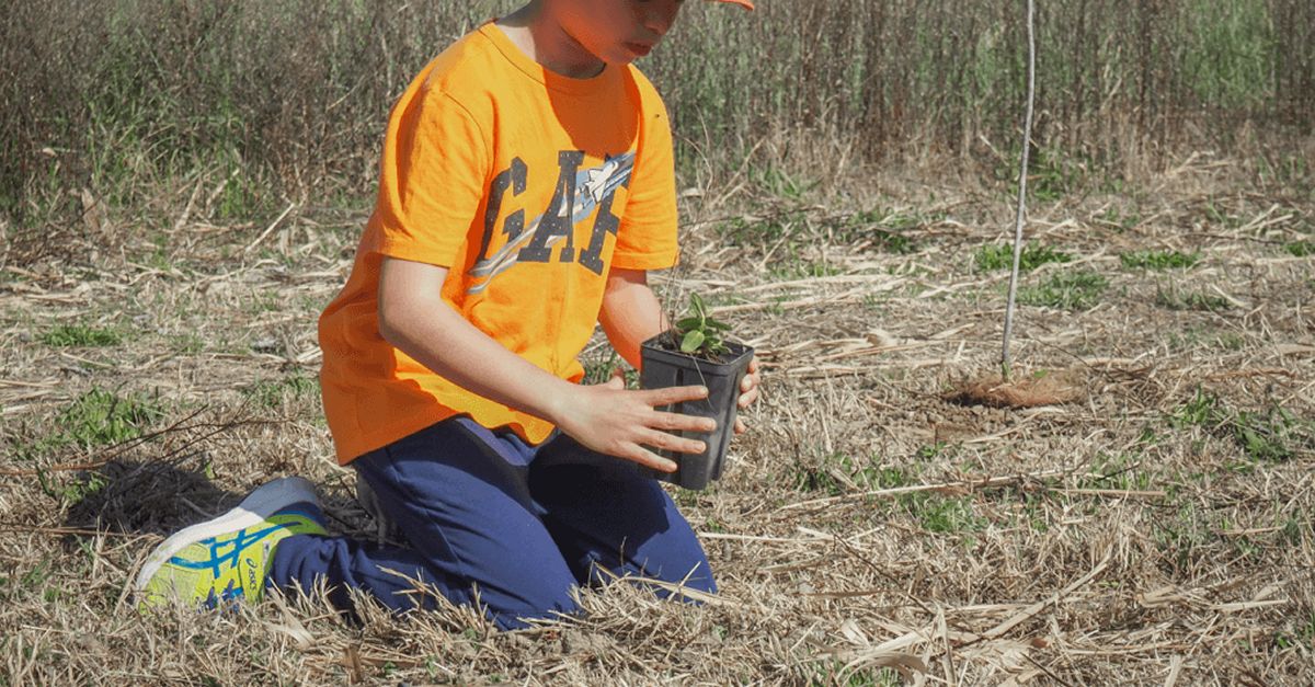 Fomentar la participaci en voluntariat ambiental a les escoles de la Ribera dEbre