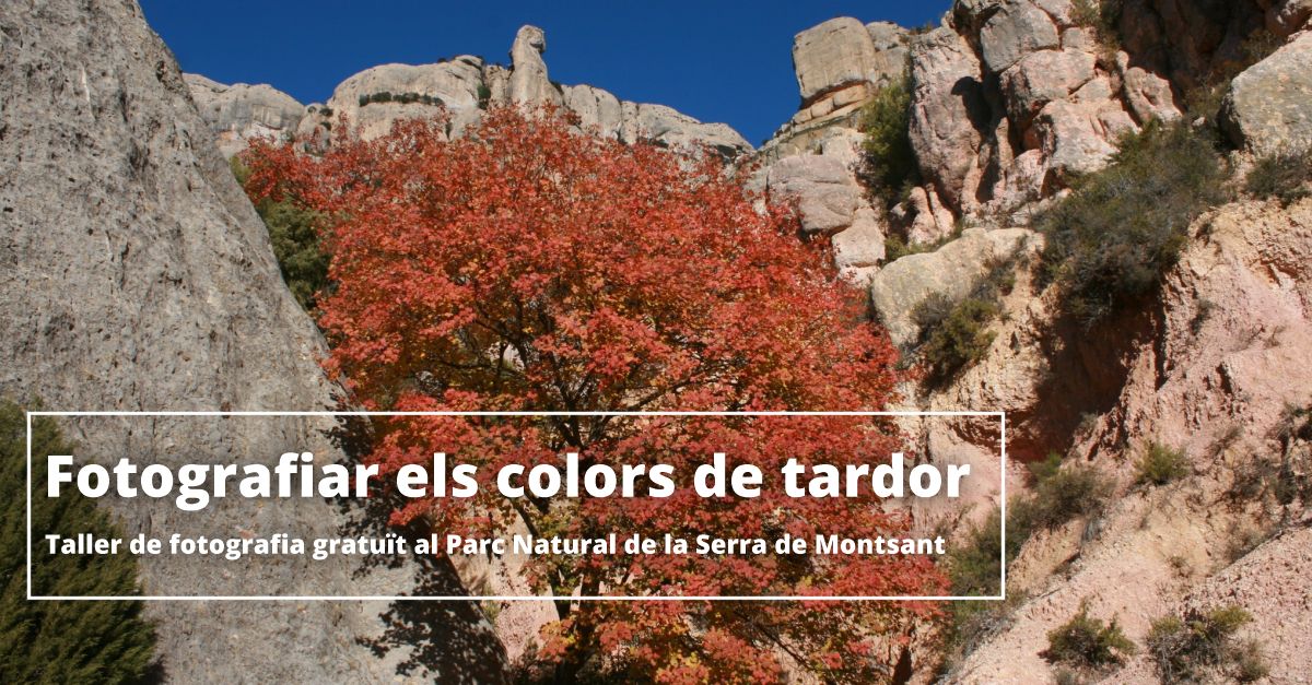 Fotografiar los colores del otoño. Taller de fotografía gratuito con Ferran Aguilar Fotografiar los colores del otoño. Taller de fotografía gratuito con Ferran Aguilar
