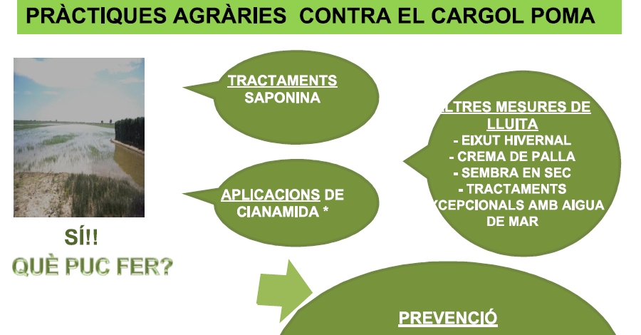 Es publiquen dos fulls informatius amb les prctiques agrries ms efectives de lluita contra el caragol maana