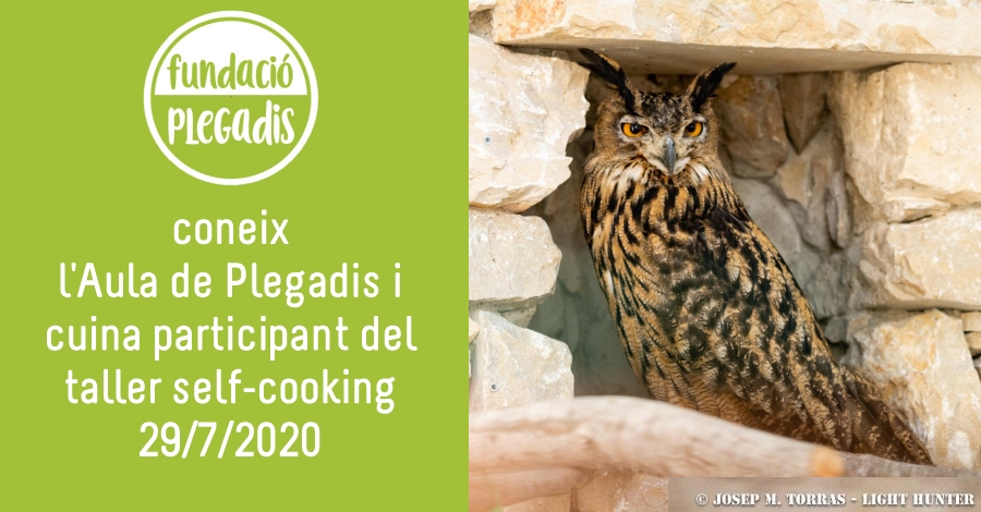 Coneix l�Aula de Plegadis i taller self-cooking