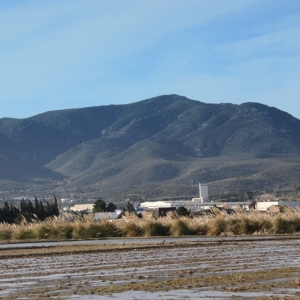 �lbum: Amposta - Ullals de Baltasar