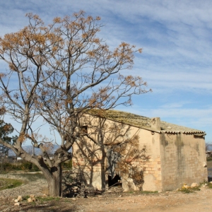 �lbum: Amposta - Ullals de Baltasar