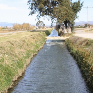�lbum: Amposta - Ullals de Baltasar