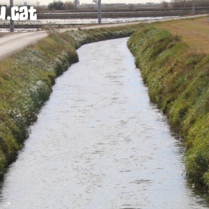 �lbum: Amposta - Ullals de Baltasar