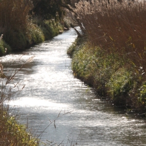 �lbum: Amposta - Ullals de Baltasar