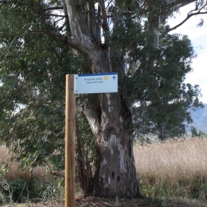 Ālbum: Amposta - Ullals de Baltasar Ālbum: Amposta - Ullals de Baltasar