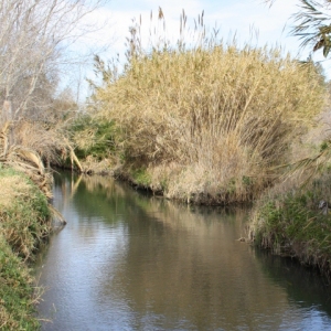 �lbum: Amposta - Ullals de Baltasar