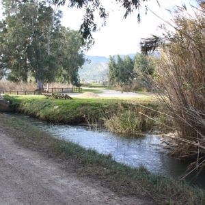 �lbum: Amposta - Ullals de Baltasar