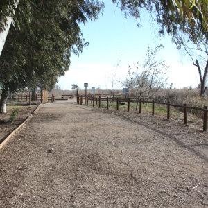 �lbum: Amposta - Ullals de Baltasar