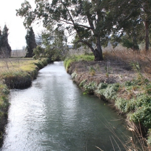 �lbum: Amposta - Ullals de Baltasar