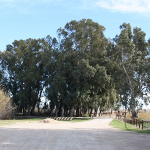 �lbum: Amposta - Ullals de Baltasar