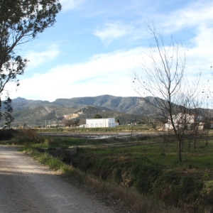 �lbum: Amposta - Ullals de Baltasar