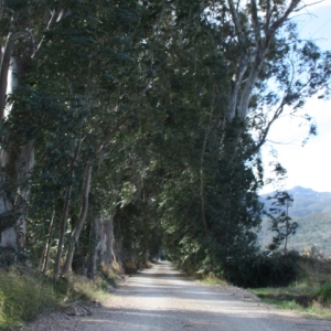 �lbum: Amposta - Ullals de Baltasar