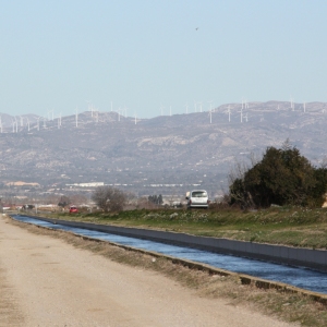 �lbum: Amposta - Ullals de Baltasar