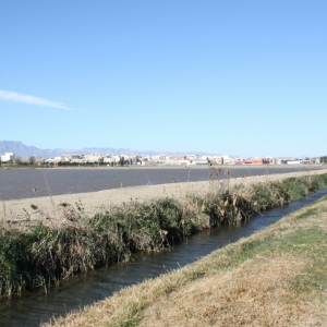 �lbum: Amposta - Ullals de Baltasar