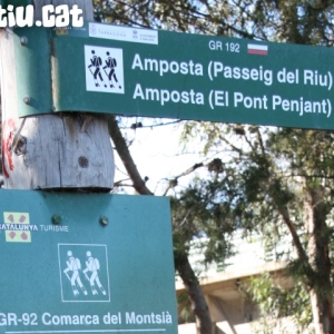 �lbum: Amposta - Ullals de Baltasar