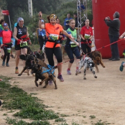 El Canicr�s d&rsquo;Amposta dona per finalitzat el II Circuit de Canicr�s Terres de l&rsquo;Ebre