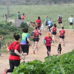 El Canicr�s d&rsquo;Amposta dona per finalitzat el II Circuit de Canicr�s Terres de l&rsquo;Ebre