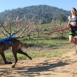 El Canicrs d’Amposta dona per finalitzat el II Circuit de Canicrs Terres de l’Ebre
