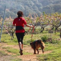 El Canicr�s d&rsquo;Amposta dona per finalitzat el II Circuit de Canicr�s Terres de l&rsquo;Ebre