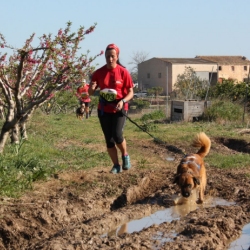 El Canicr�s d&rsquo;Amposta dona per finalitzat el II Circuit de Canicr�s Terres de l&rsquo;Ebre