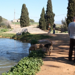 El Canicr�s d&rsquo;Amposta dona per finalitzat el II Circuit de Canicr�s Terres de l&rsquo;Ebre