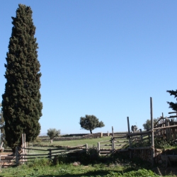 El Canicr�s d&rsquo;Amposta dona per finalitzat el II Circuit de Canicr�s Terres de l&rsquo;Ebre