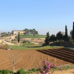 El Canicr�s d&rsquo;Amposta dona per finalitzat el II Circuit de Canicr�s Terres de l&rsquo;Ebre
