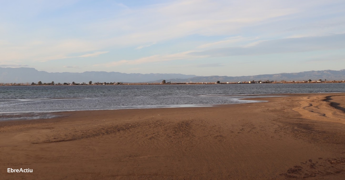 La Generalitat vol actuar demergncia sobre el litoral del delta de lEbre