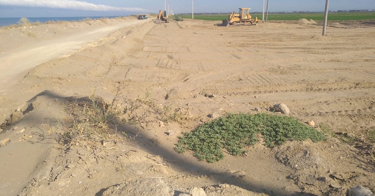 El GEPEC-EdC demanar que saturi la construcci dun prquing a la Platja de la Marquesa de Deltebre