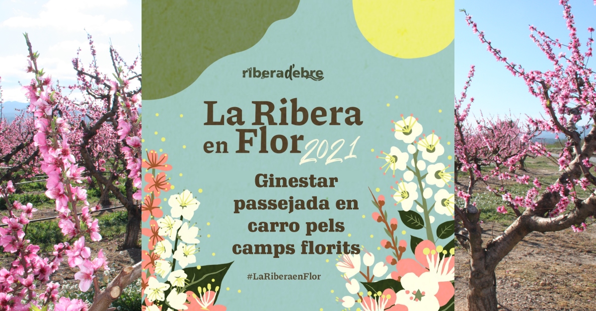 Ginestar, passejada en carro pels camps flortis #LaRiberaenFlor Ginestar, passejada en carro pels camps flortis #LaRiberaenFlor
